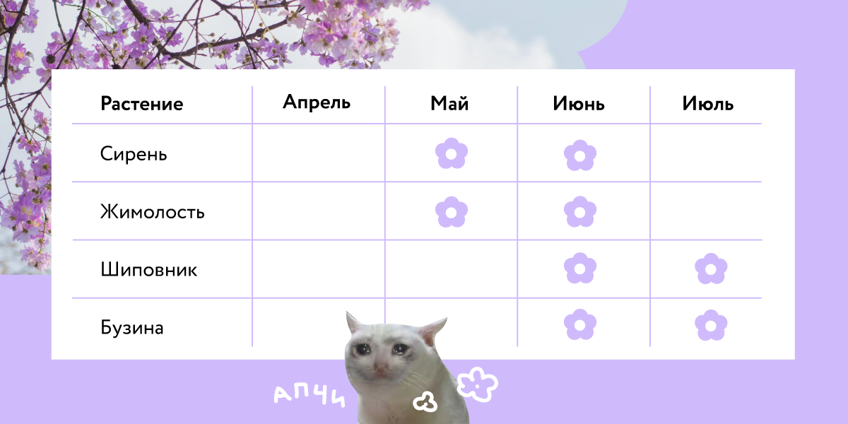 Календарь цветения кустарников