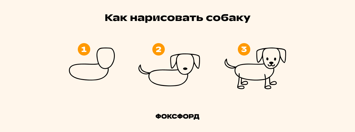 Как научить ребёнка рисовать собаку