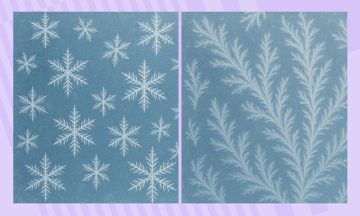 Toliq ekranda qalin, elastik xoroz Toliq ekranda qalin, elastik xoroz