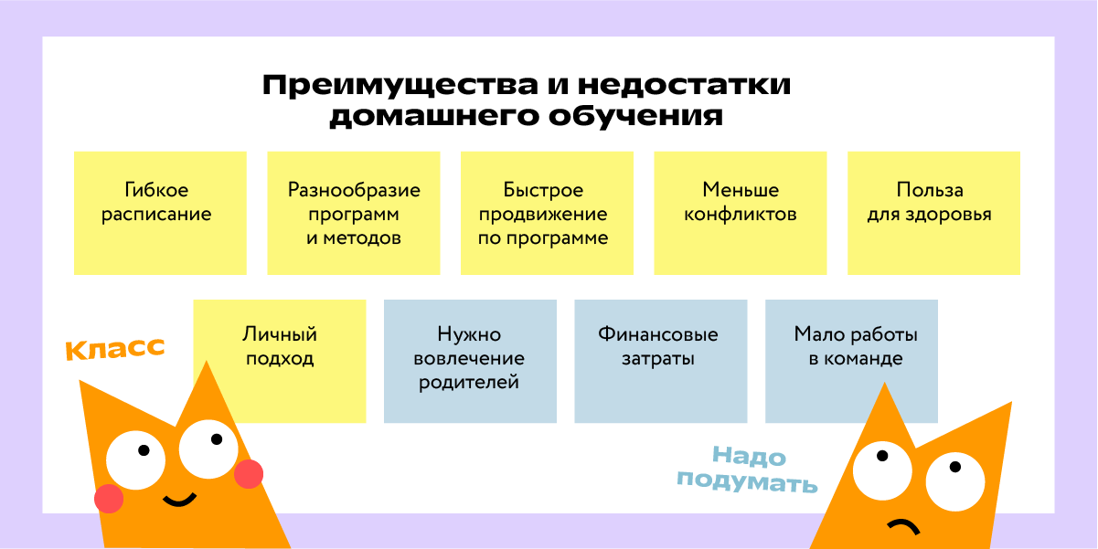 Семейное образование: преимущества, недостатки и как убедить родных