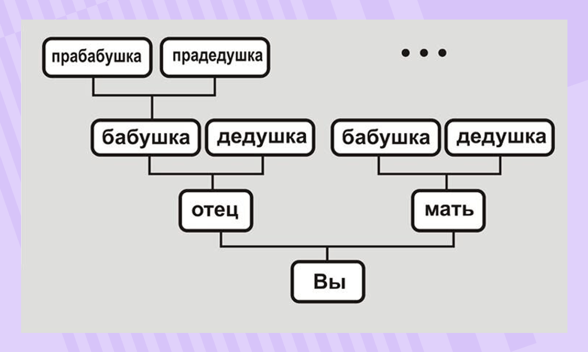 Как составить генеалогическое древо семьи
