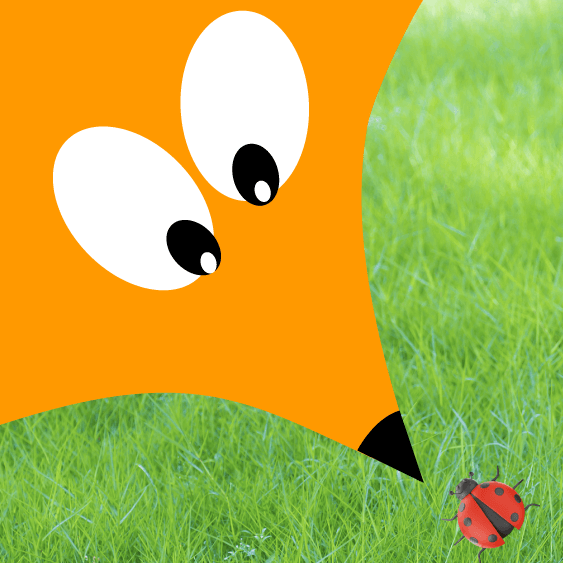 Превью статьи