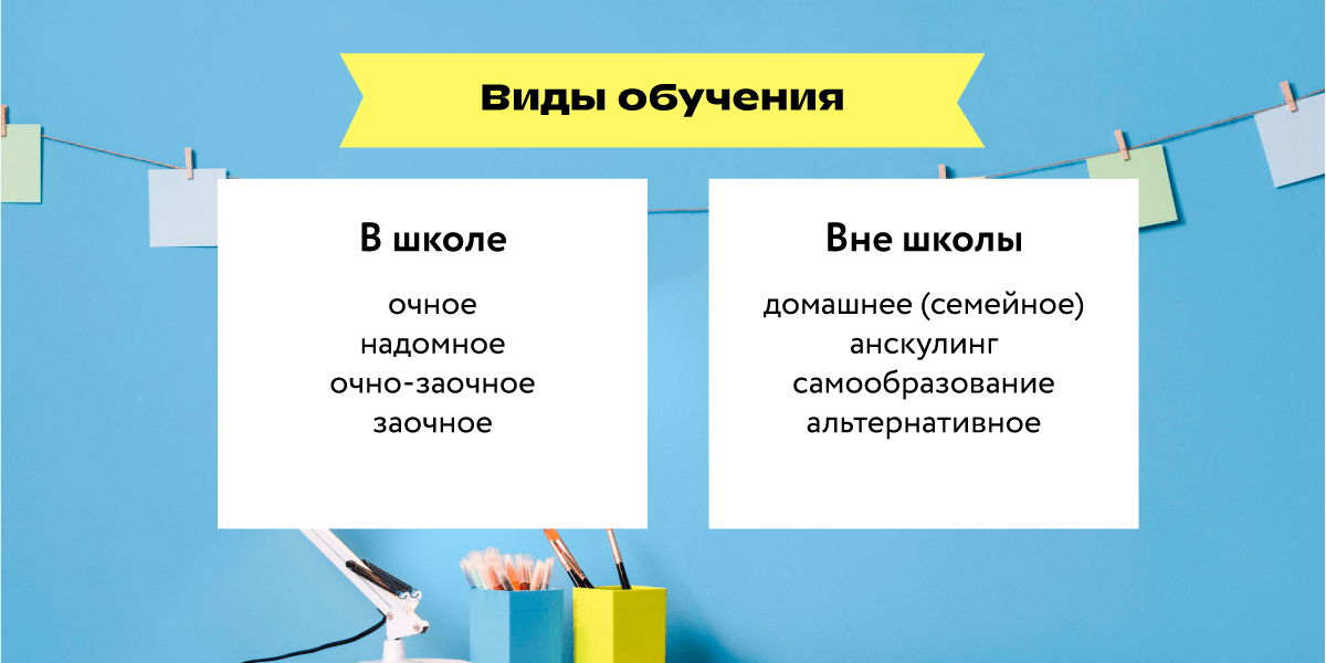 Виды обучения