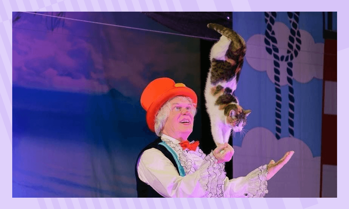 Детские театры в Москве - Театр кошек Куклачёва