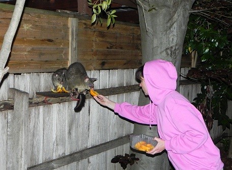 __wf_reserved_inherit