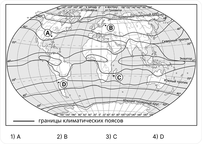 Image (1)