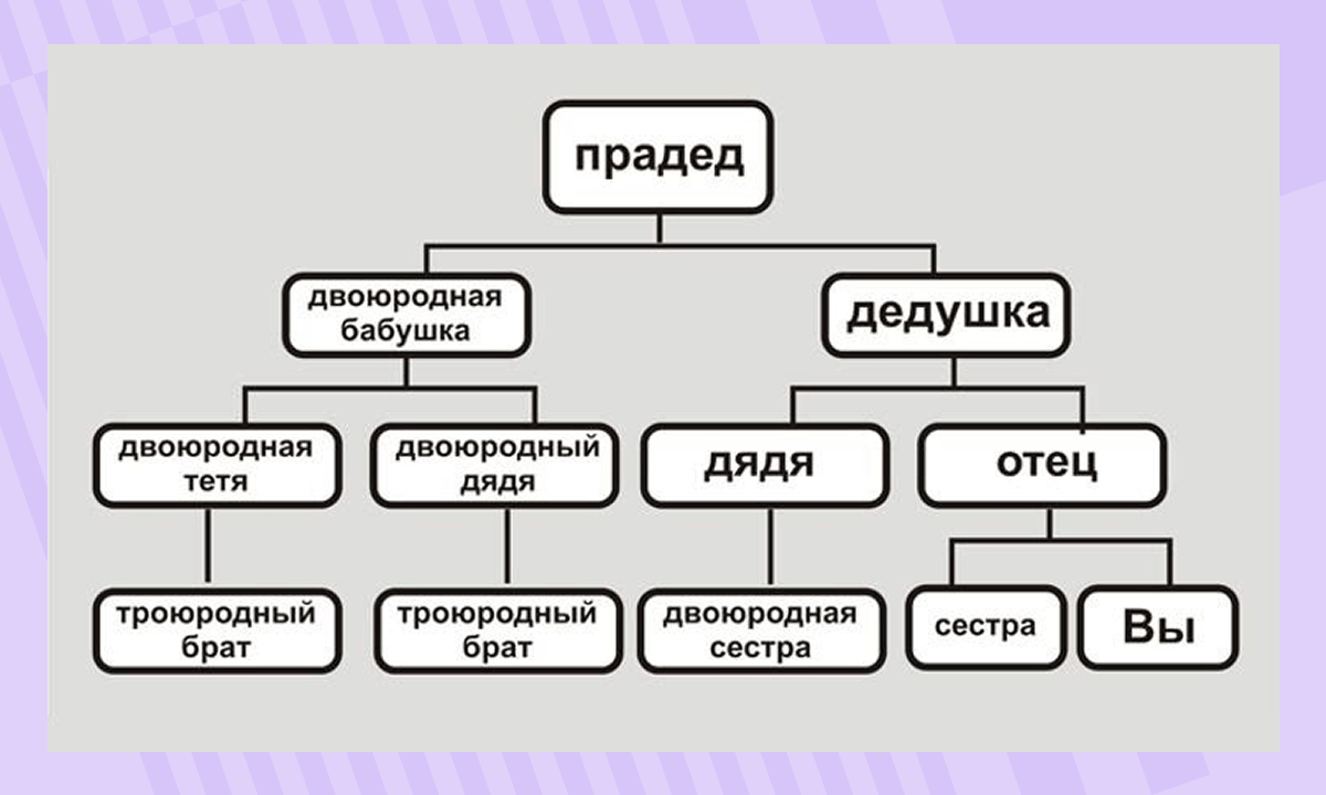 Как составить генеалогическое древо семьи
