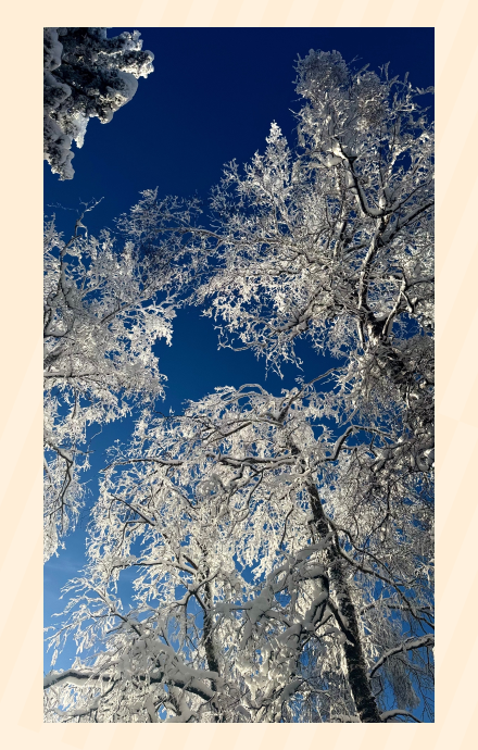 Как правильно фотографировать