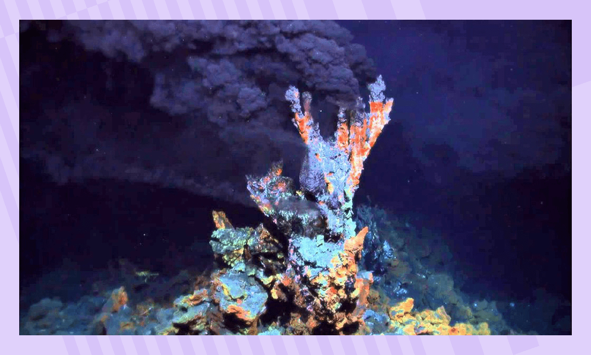 Интересные факты про океан 