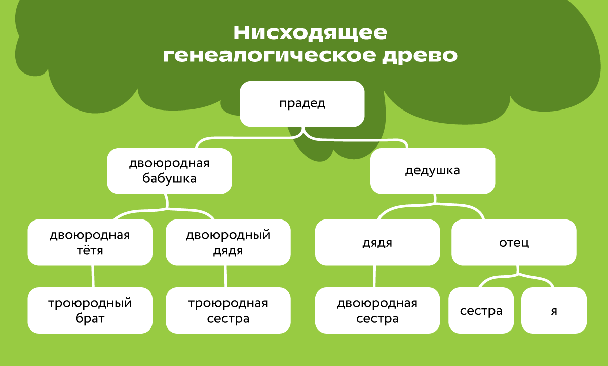 Как составить генеалогическое древо семьи