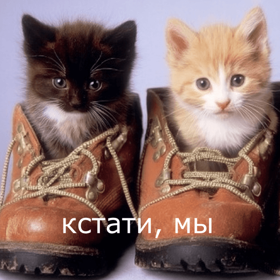 Превью статьи