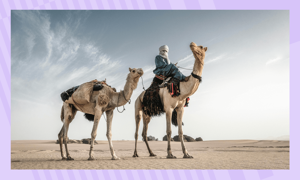 Интересные факты о пустынях